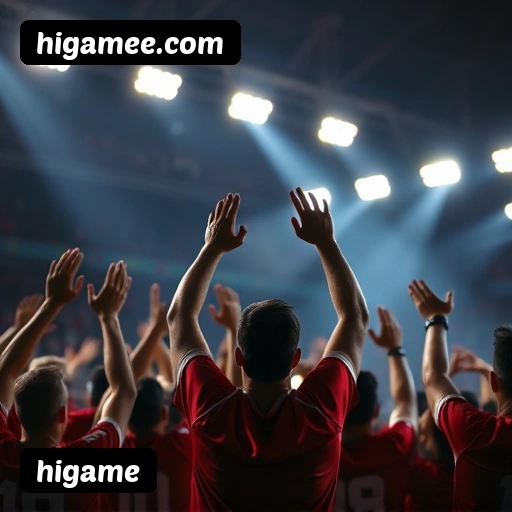 Níveis do programa VIP da higame